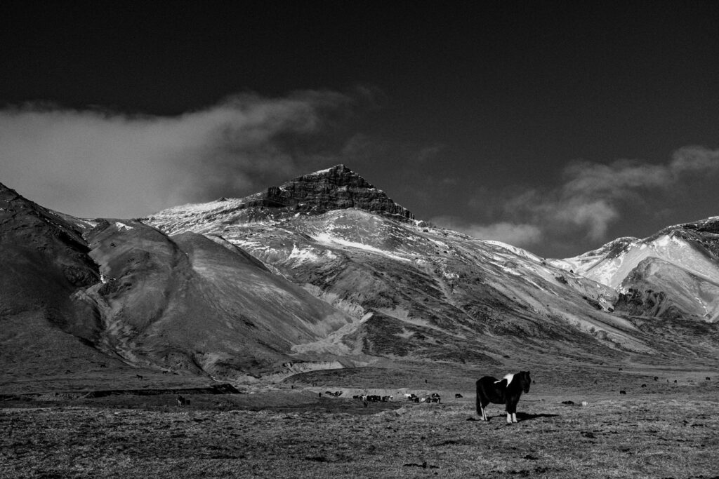 Icelandic mountain landscape in black and white